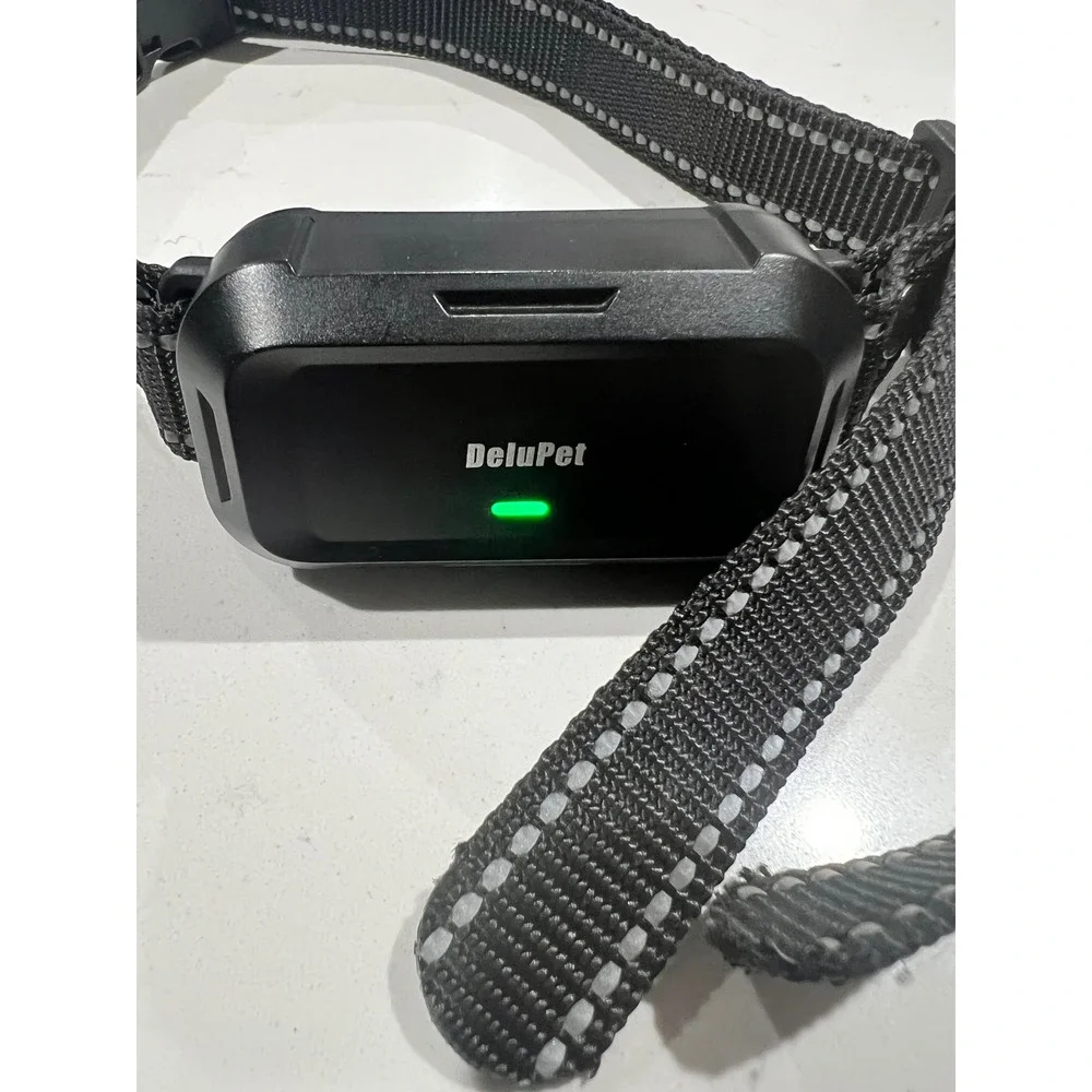 Delupet Dog Training Collar Set for 2 Dogs with Remote Rechargeable Black